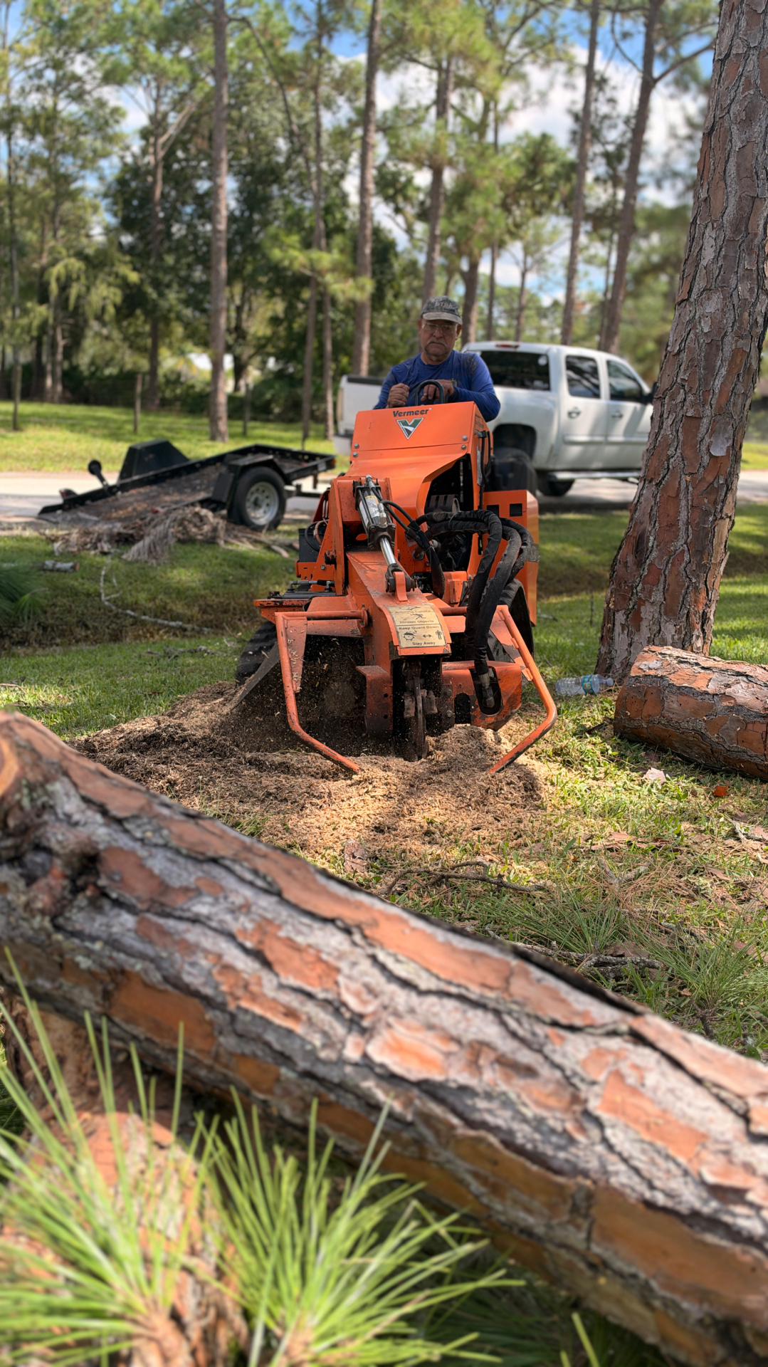 Tree surgeon safely removing a large hazardous branch from a residential property